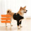 Pet Shoulder Support Brace - Canine Front Leg Joint Protection & Warming Wrap  S 5