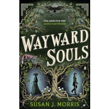 Wayward Souls by Susan J. Morris Hardcover Book