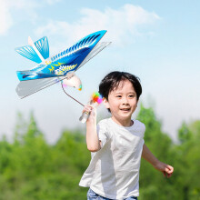 Space Bird Toy for Kids 3+ Flying Gliding Aircraft