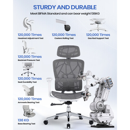 Ergonomic Office Chair with 3D Lumbar Support 2