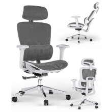 Ergonomic Office Chair with 3D Lumbar Support