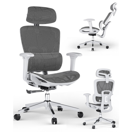 Ergonomic Office Chair with 3D Lumbar Support