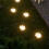 4PCS User Friendly Solar Operated LED Light Dog Paws-White 7