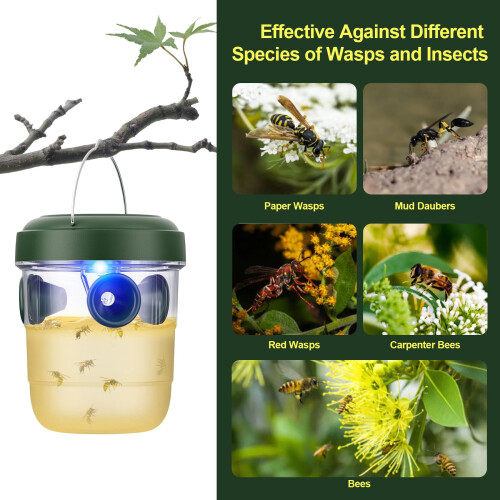 Meottam Solar Wasp Trap with LED Light 2-Pack 2