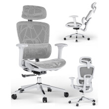 Ergonomic Office Chair with 3D Lumbar Support