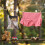 Sac de rangement pour pinces à linge Wolf Snow, lavable et suspendu 3