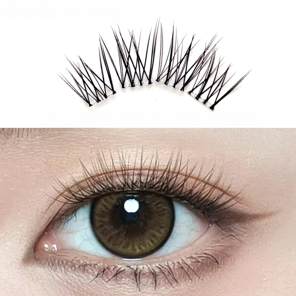 Dachuang Beauty Natural C Curl False Lashes - No Glue, Lightweight