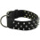 Κολάρο σκύλου Omni Pet Bravo Nylon με καρφιά, 23 ίντσες, μαύρο 1