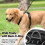 PoyPet Dog Harness Medium, No Pull with Front Clip & Neck Release Buckle 5