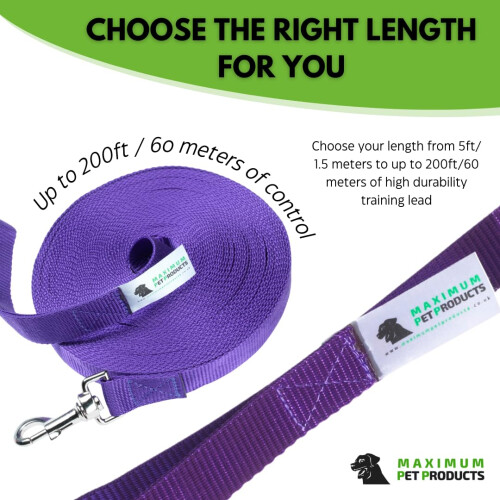 Maximum Pet Products Dog Training Lead (50ft/15m, Purple) 1