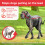 Beaphar Beaphar - Gentle Leader Head Collar for Large Dogs - Training Aid - Stops Pullin 5