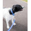 Rosewood Rosewood Blue Checkerboard Dog Collar – Adjustable Pet Collar for Small, Medium, 5