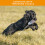 The Original Clone Realistic Game Bird Dog Training Dummies - Canvas Dummy With 7