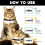Cat Collars 4 Pack, Adjustable & Waterproof for Cats and Kittens 6