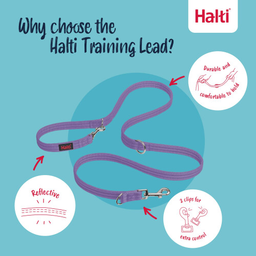 Halti Halti Training Dog Lead (Size Small, Purple, 2m) 2