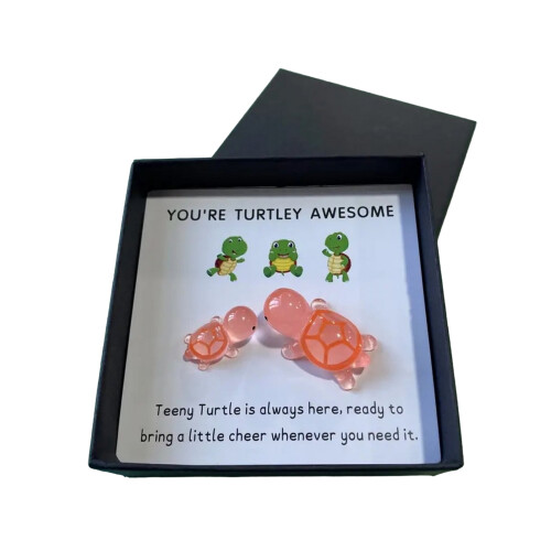 Pocket Hug Turtle Decoration with Greeting Card 1
