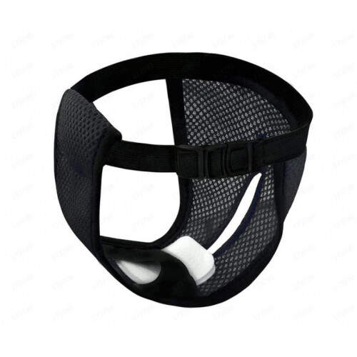 Sicherheitshosen für Haustiere Black L
