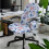 Ensemble housse de chaise de bureau imprimé papillon bohème mandala L 3