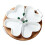 Divided Serving Platter 4-Compartment Modern Sturdy Dish 3