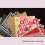 Cotton Quilting Patch Bundle 10cm10cm 300pcs 5