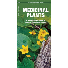 Medicinal Plants by James Kavanagh Paperback Book