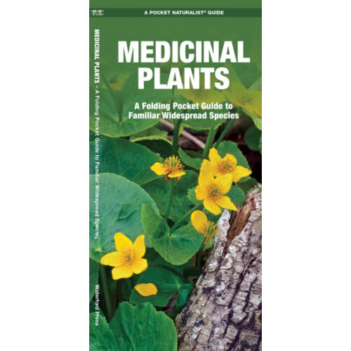 Medicinal Plants by James Kavanagh Paperback Book