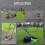 Ignition Coils Engine 2 Pack 3