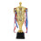Mini Trophy Cup for Kids and Adults 45cm 1