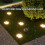 4PCS User Friendly Solar Operated LED Light Dog Paws-White 3
