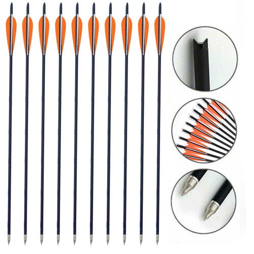 Carbon Crossbow Bolts 20 Inch 12 Pack