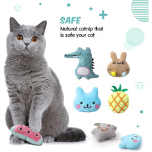 Catnip Toys for Cats Fluffy Pillow Set 20 Pieces