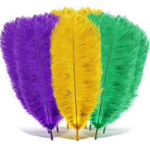 Ostrich Feathers Colorful 12 pcs 10-12 inch