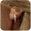 Gold Opal Huggie Earrings with Zircons Small 1