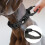 Collier réglable en nylon pour chien avec support AirTag Black L 5