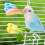 Plastic Bird Feeder Clips for Cage Fruits Vegetables 5
