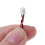 High Energy 5pcs 3v Button Cell Coin Lithium BIOS CMOS Batteries 4