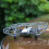 Bescherm Propeller Propellers Propellers Reserveonderdeel 9