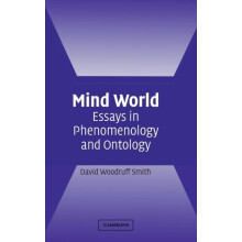 Mind World by David Woodruff Smith Hardcover Book