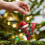 Christmas Tree Ornaments Acrylic Red 3.1 Inch 5