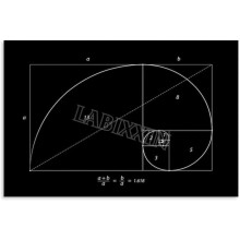 Fibonacci Spiral Poster Golden Ratio Geometry Canvas Art