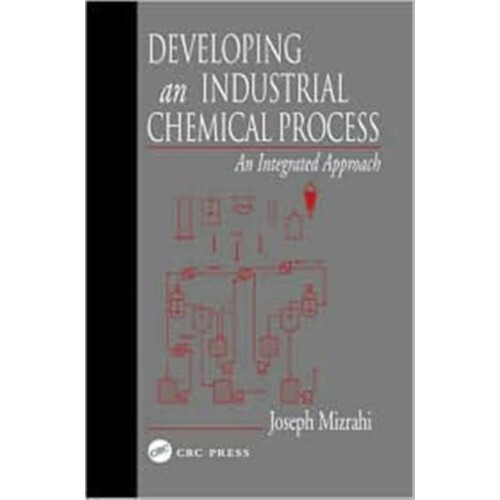 Developing An Industrial Chemical Process by Joseph Mizrahi Paperback