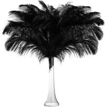 Black Ostrich Feathers Pack 20 pcs 8-10 inch for Home