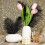 Black Ostrich Feathers Pack 20 pcs 8-10 inch for Home 4