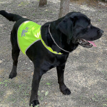 Dog Vest Dog Vest - Comfortable Dog Vest, Dog Safety Jacket