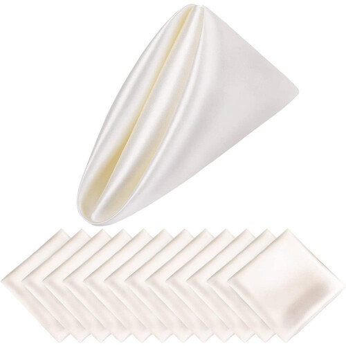 Cloth Napkins 17x17 Inch 12 Pieces 1