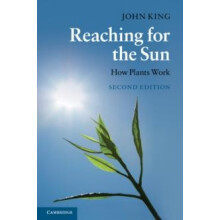 Reaching for the Sun by John King Hardcover Book