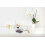 Umbra Umbra Wall Decoration, White 2, Medium 2