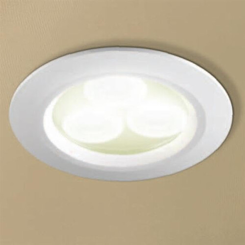 Warm White LED Showerlight, White