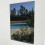 Servewell Rectangular Garden Mirror - 25 X 20 Cm 1