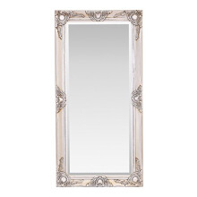 Select Mirrors Haywood Large Rectangle Wall Mirror (Antique Champagne, 50cm x 100cm)